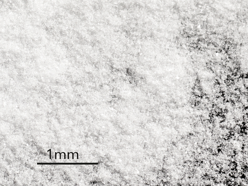 Glycinkristalle (1 mm)