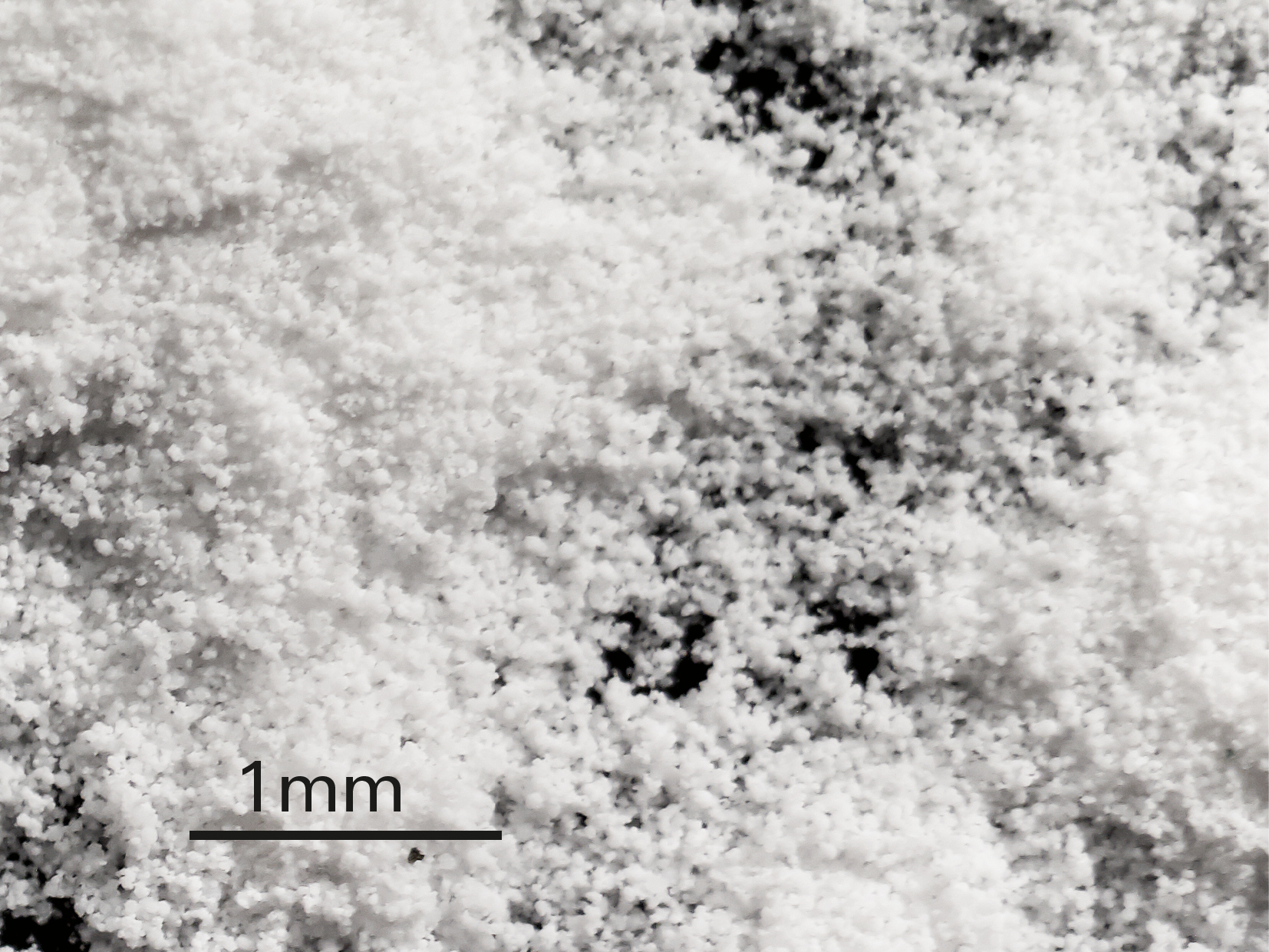 Kugelförmige Form der Natriumbikarbonat-Partikel vergrößert auf 1 mm