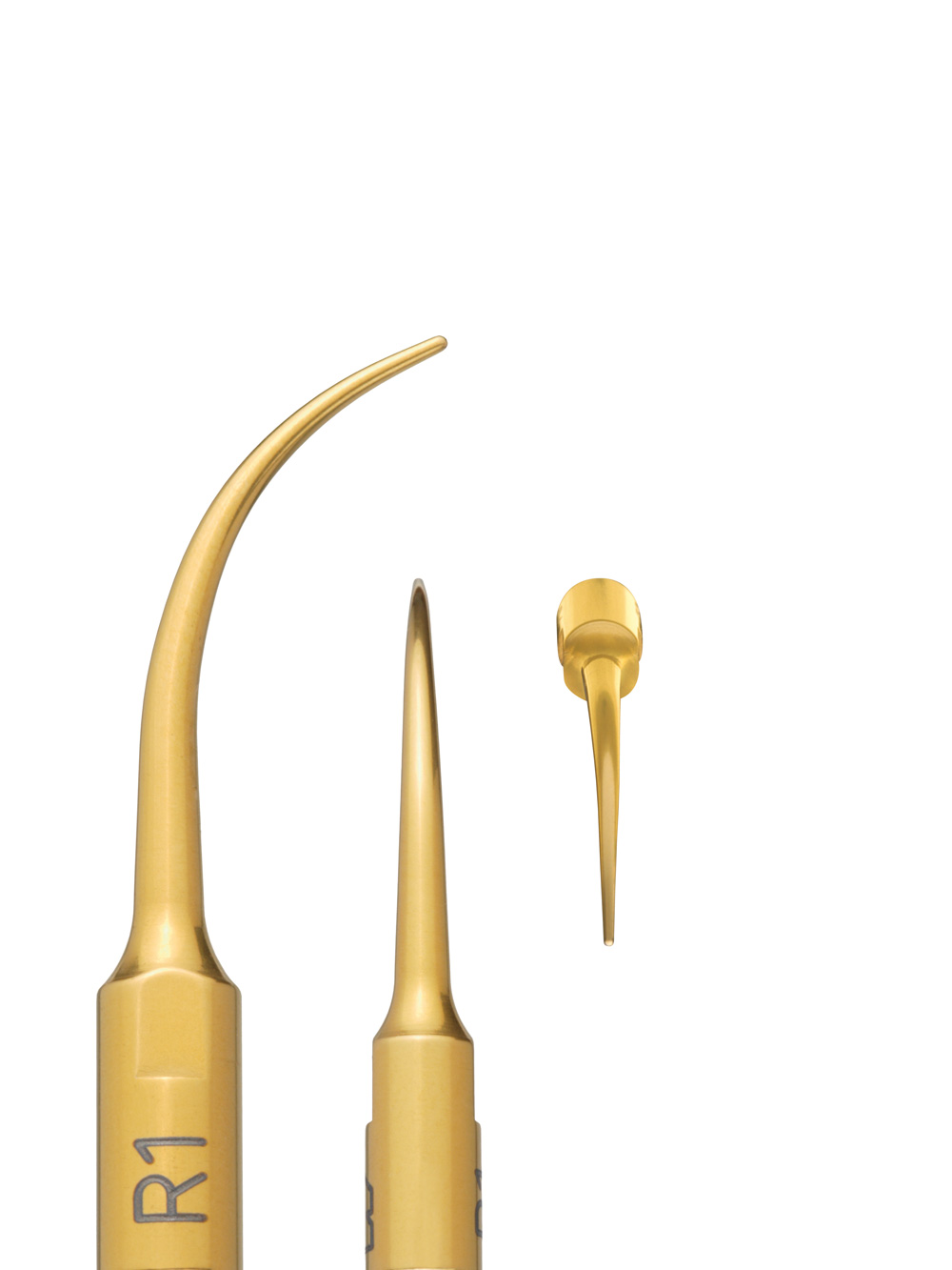 insert R1 lateral view, turned about 90° and frontal view